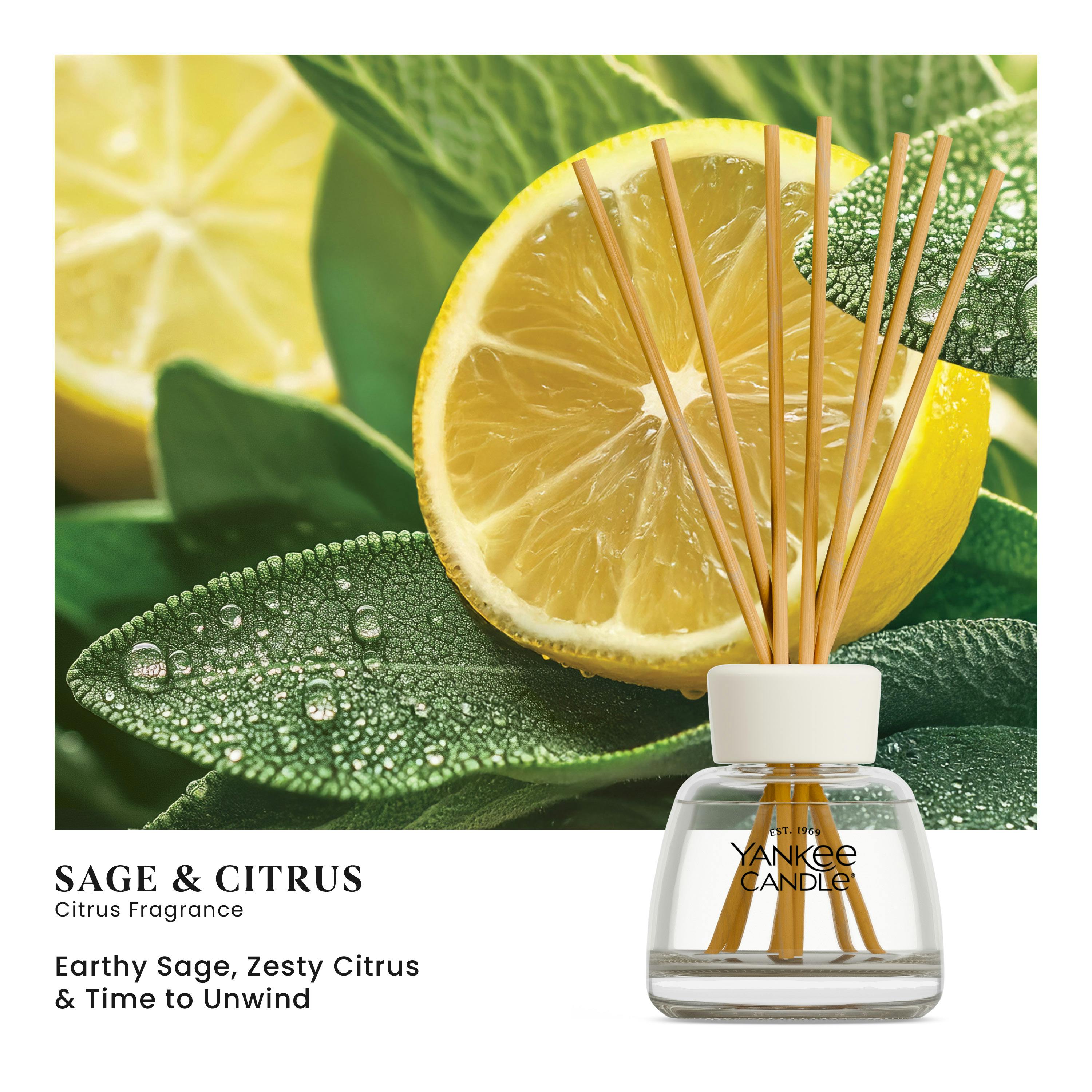 Sage & Citrus Reed Diffuser Kit